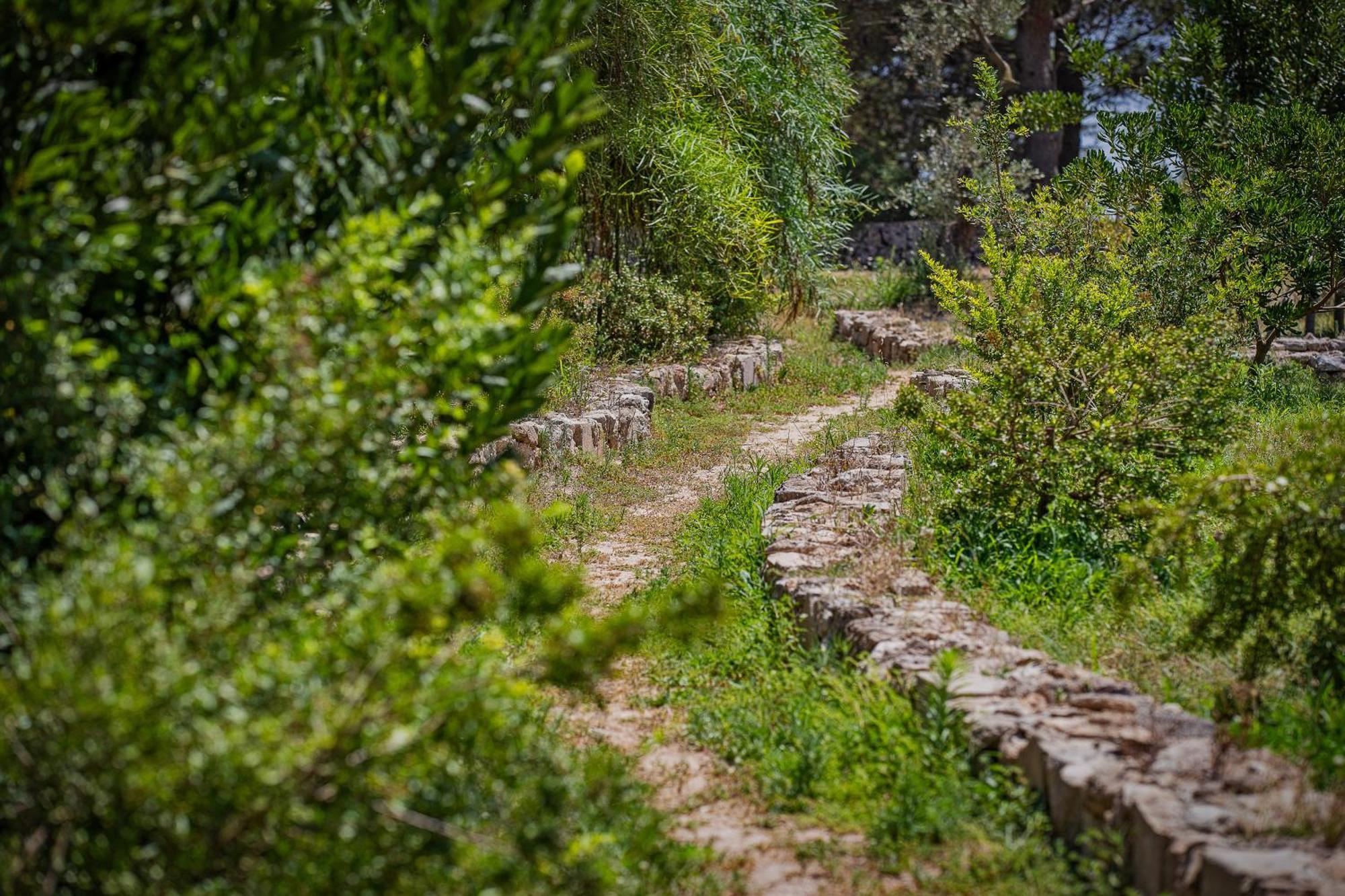 Torre Casciani Villa Ugento Eksteriør bilde