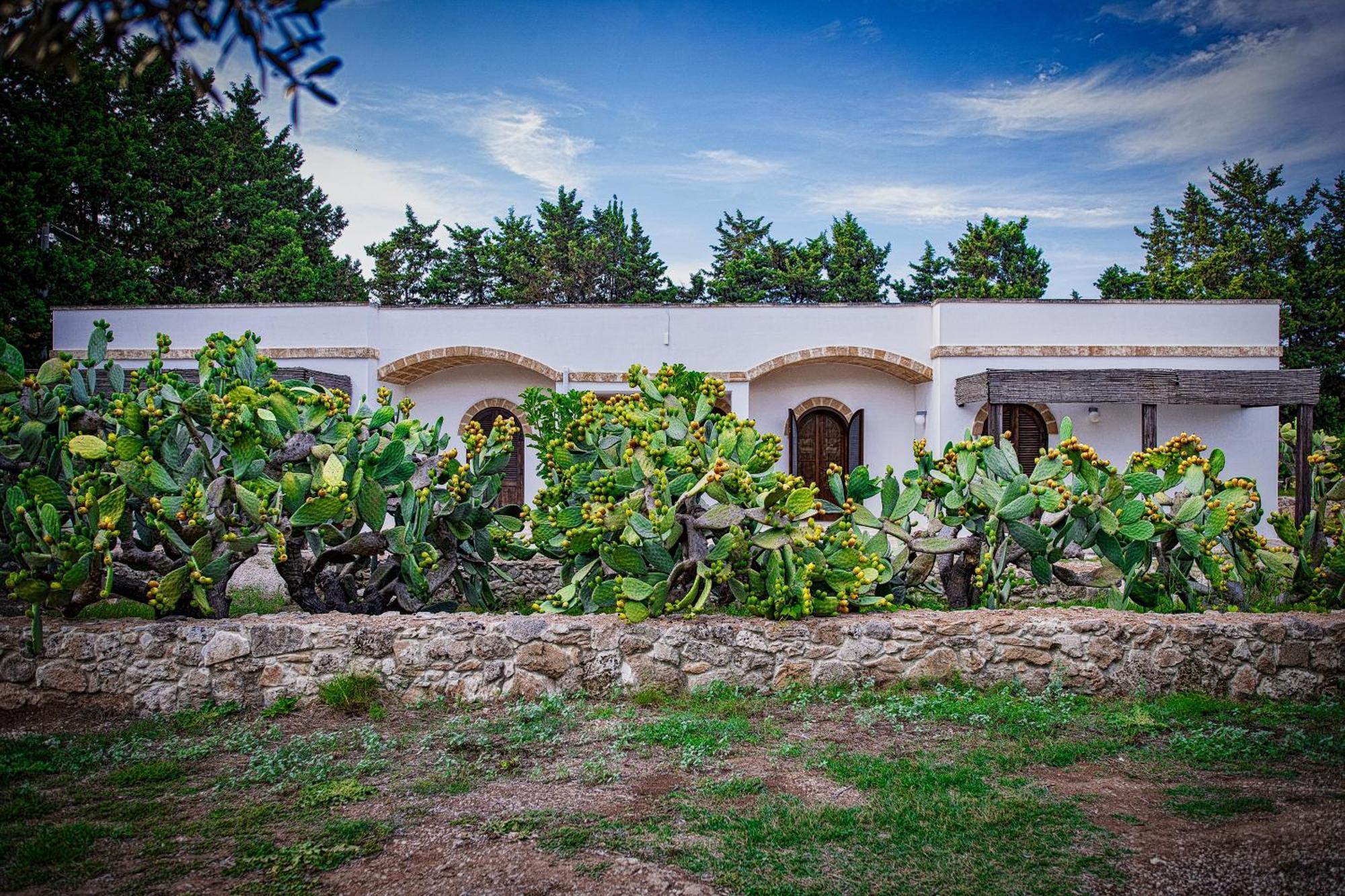 Torre Casciani Villa Ugento Eksteriør bilde